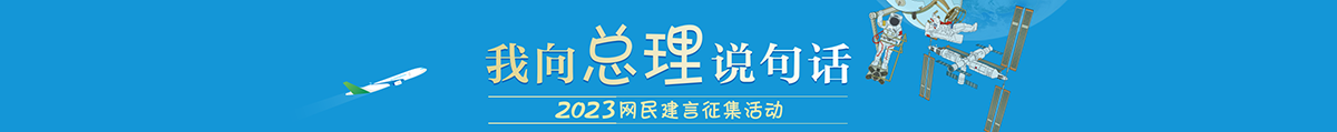 我向总理说句话