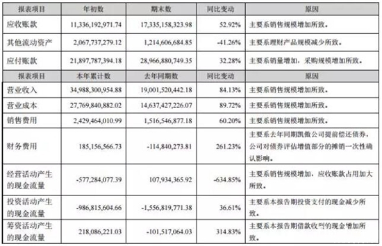 报告期主要财务数据、财务指标发生变动的情况及原因