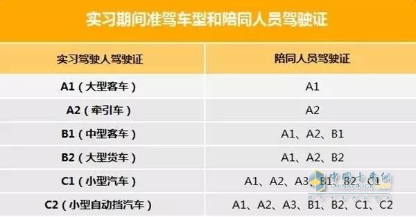 实习期间准架车型和陪同人员驾驶证
