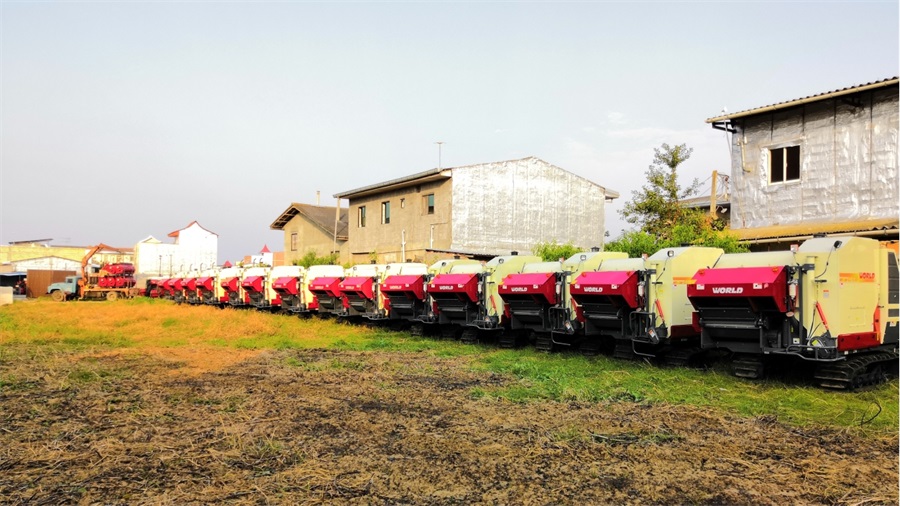 配套YC4DK的水稻收割机