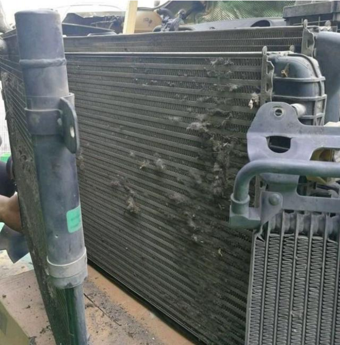 柳絮尘土堵死的散热水箱